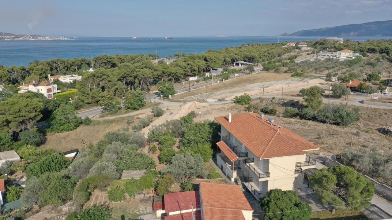 The Byzantine House