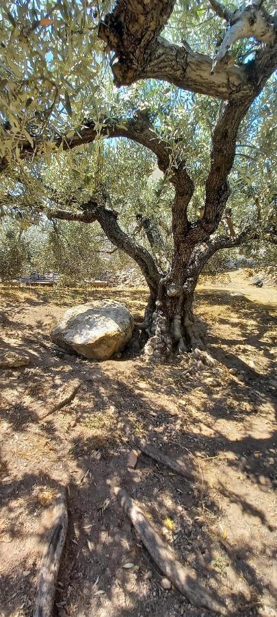 The Byzantine House Holiday home *